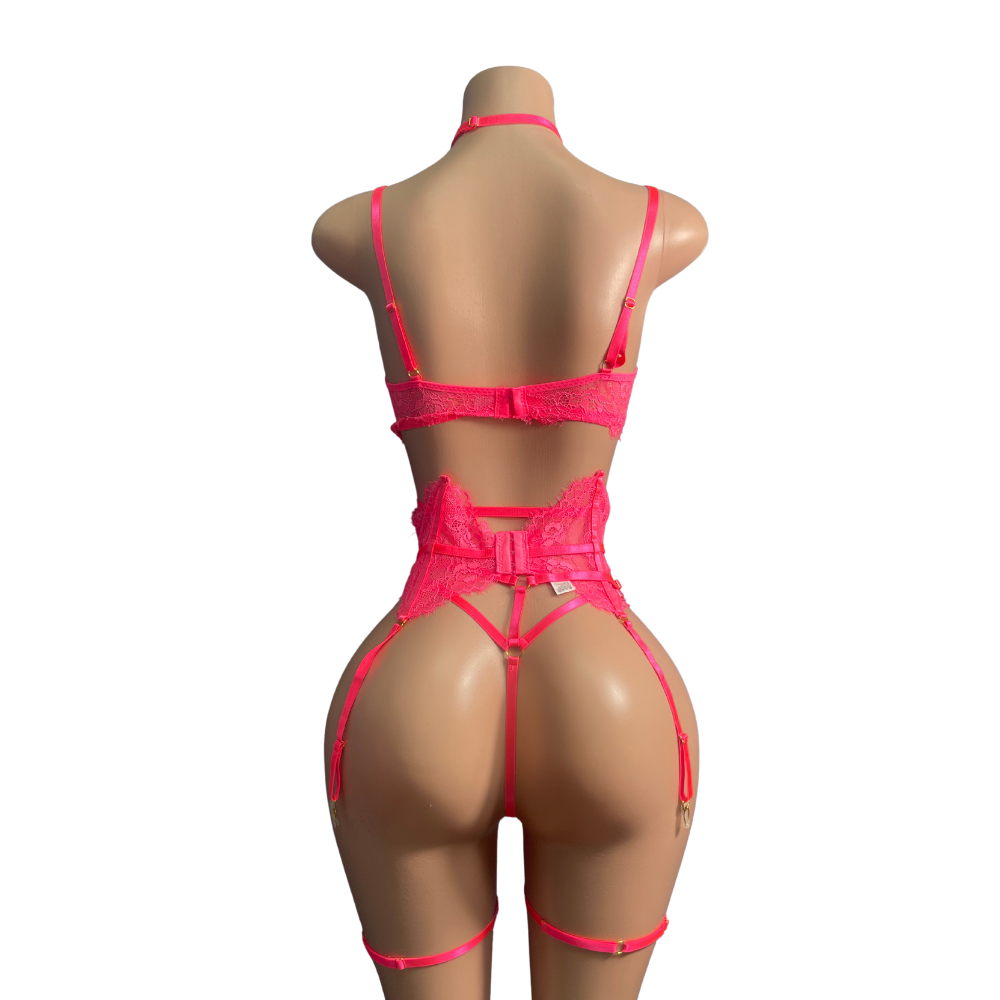 Sexy 3pc Lingerie Set #025