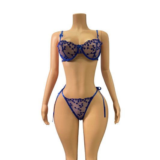 Sexy 2pc Lingerie Set #007