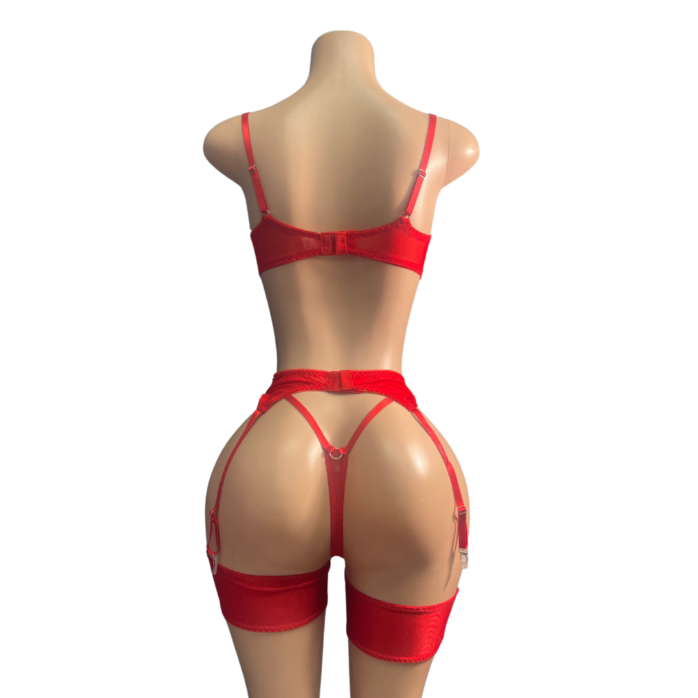 Sexy 3pc Lingerie Set #016