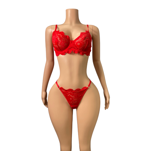 Sexy 2pc Lingerie Set #003