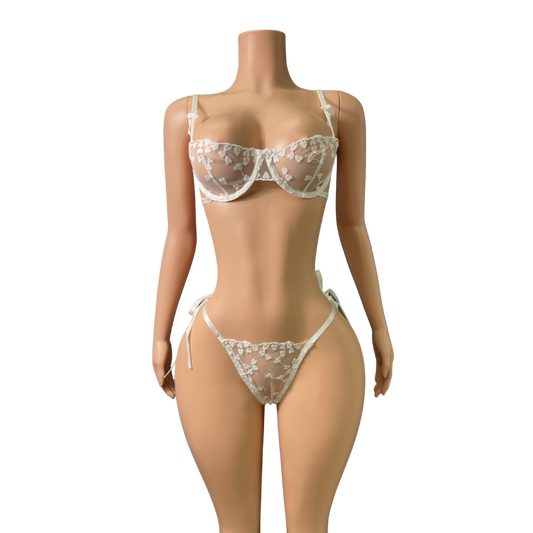 Sexy 2pc Lingerie Set #010