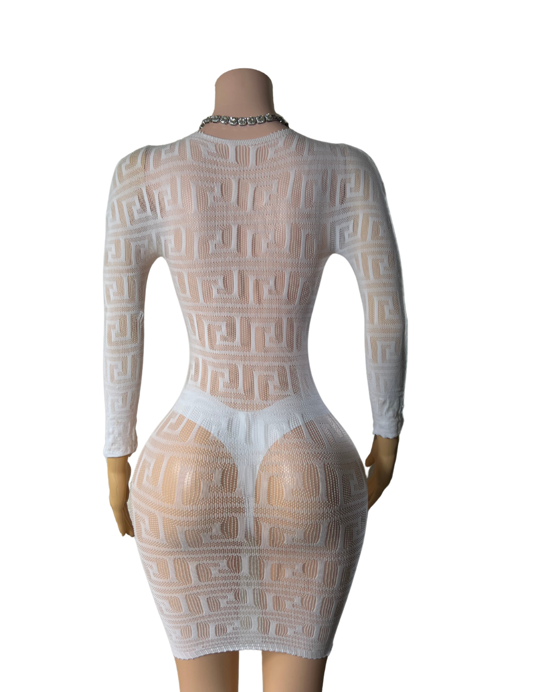 Fishnet Long Sleeve Short Dress -#006