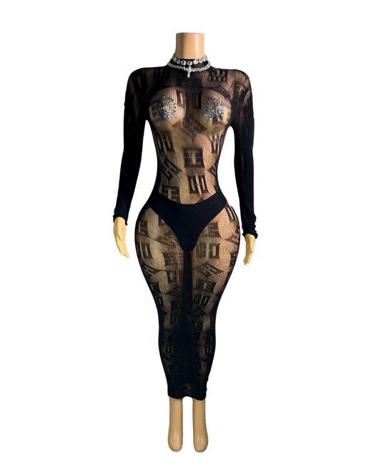 Long Sleeve Mesh Dress (LONG DRESS) -#007