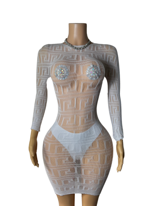 Fishnet Long Sleeve Short Dress -#006